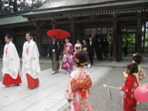 IMG_0854