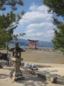 IMG_1562.jpg1