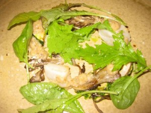 IMG_0500.jpg1