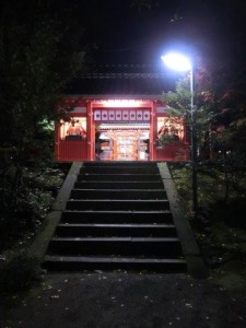 CIMG4656