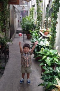 image.jpg12